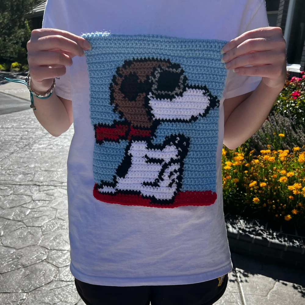 Hand Crocheted The Red Baron Snoopy Small Tapestry! - Picture 5 of 10